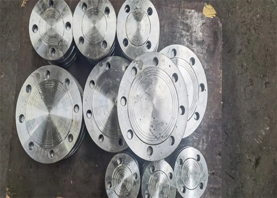 Flange Buta Stainless Steel 316l Kosong 10k RF FF DN25 DN40 24 Inch Blind Flange